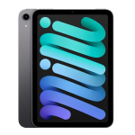 iPad mini (2021, A15 series) Space Gray • 256 GB • Wi-Fi