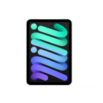 iPad mini (2021, A15 series) Space Gray • 256 GB • Wi-Fi