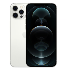 iPhone 12 Pro Max Silver • 256 GB